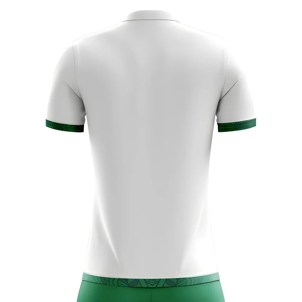 2025-2026 Nigeria Away Concept Football Shirt_1