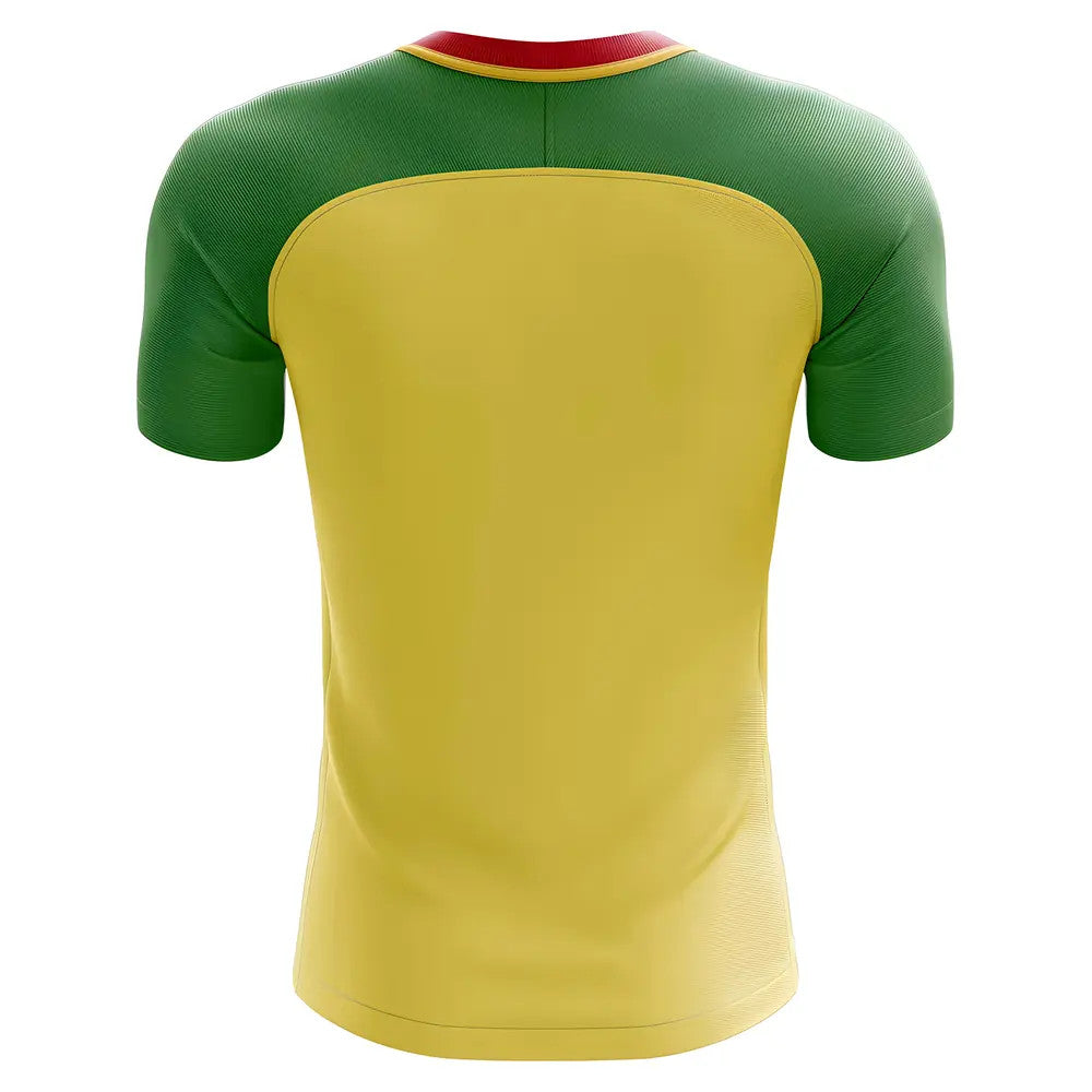 2025-2026 Republic of Congo Home Concept Football Shirt_1