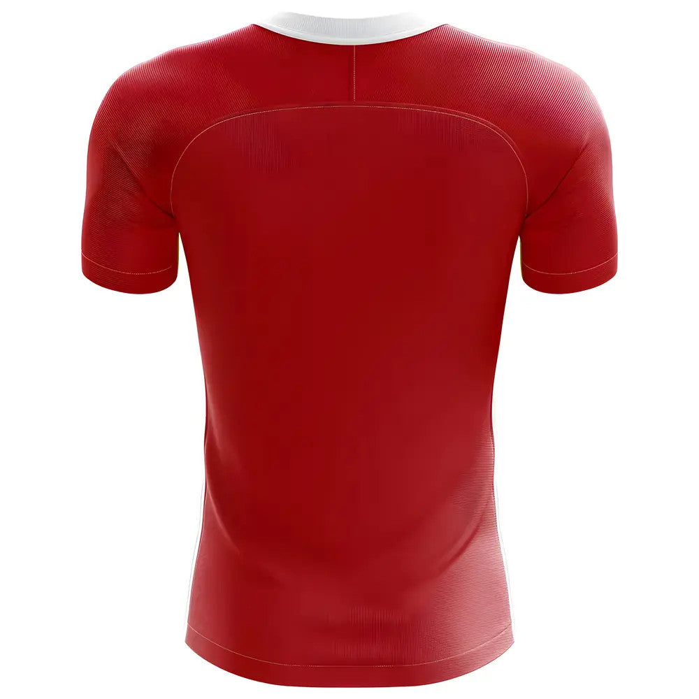 2025-2026 Denmark Flag Concept Football Shirt - Adult Long Sleeve_1