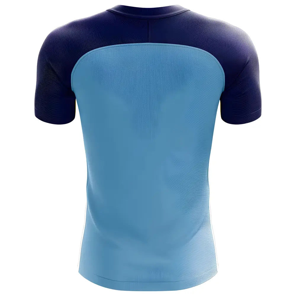 2025-2026 Fiji Home Concept Football Shirt_1