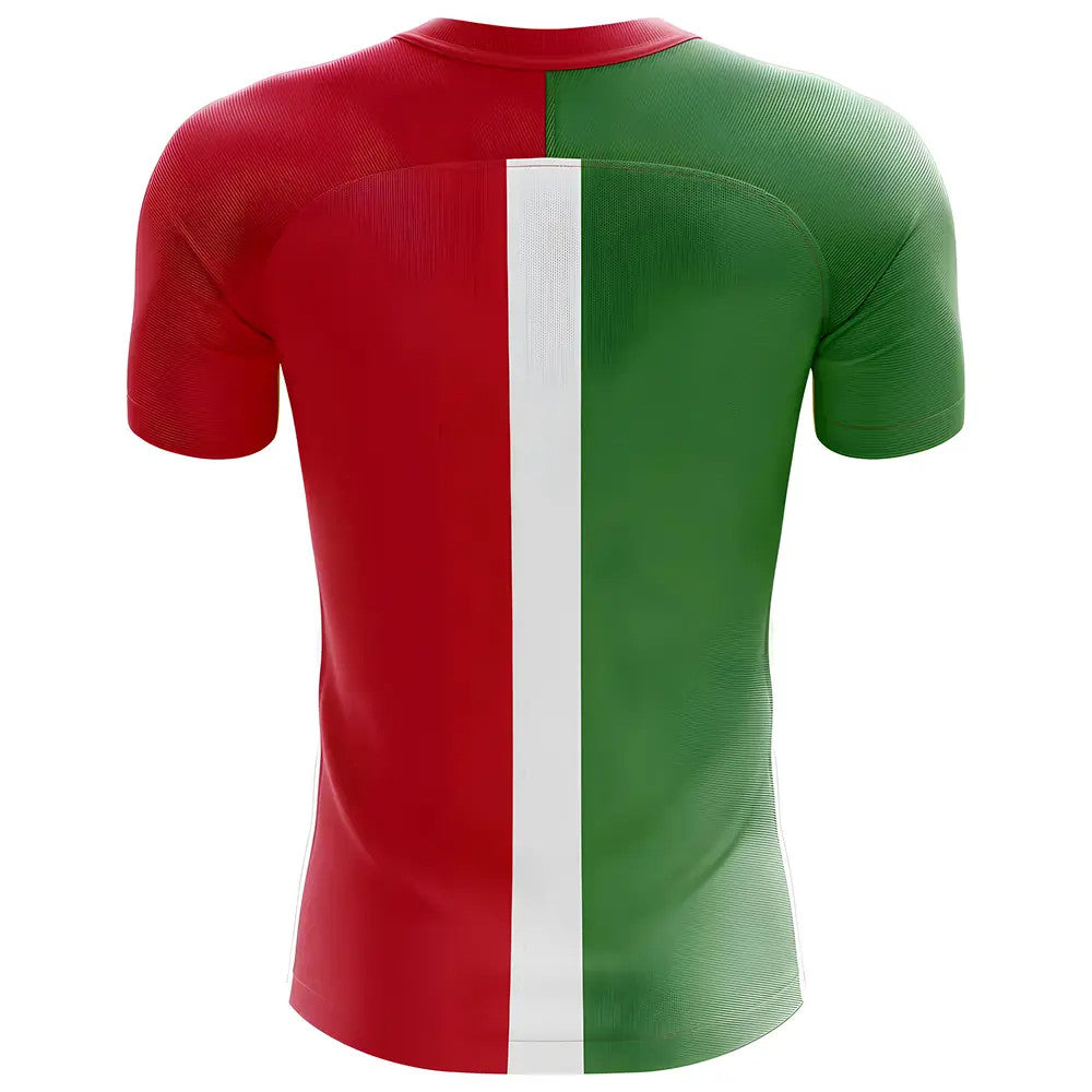 2025-2026 Italy Flag Concept Football Shirt_1