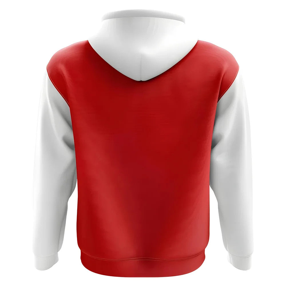 Atletico Madrid Concept Club Football Hoody (Red)_1