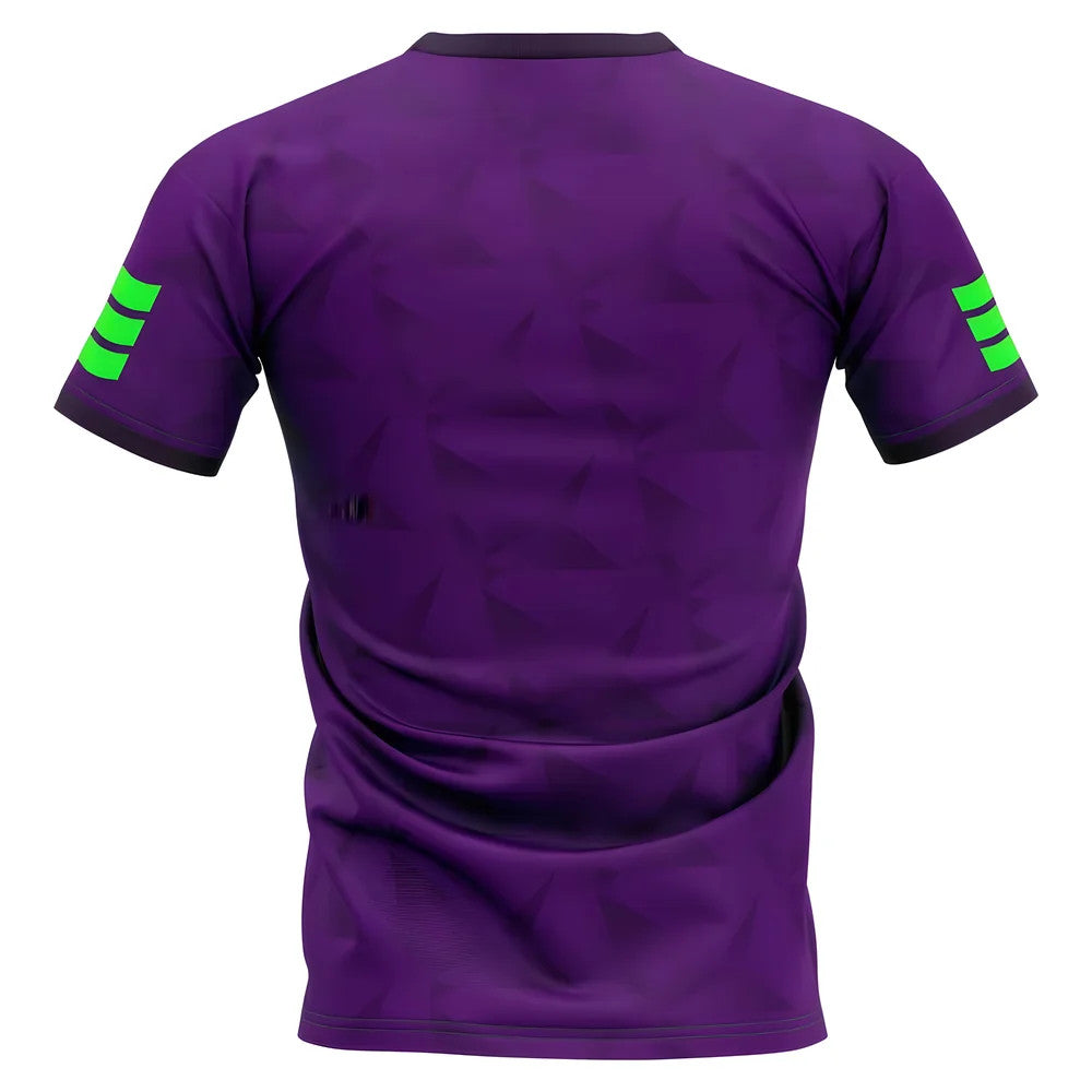 2025-2026 Sanfrecce Hiroshima Home Concept Football Shirt - Adult Long Sleeve_1