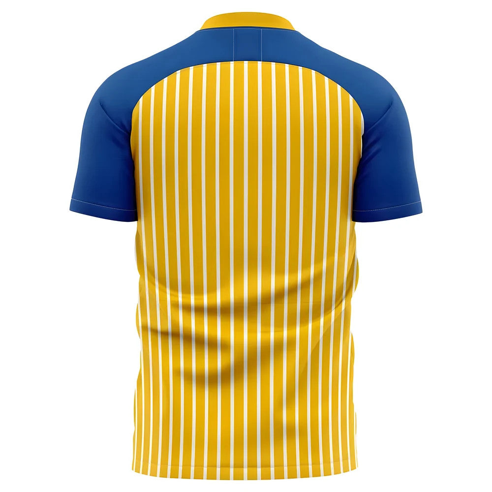 2025-2026 Las Palmas Home Concept Football Shirt_1
