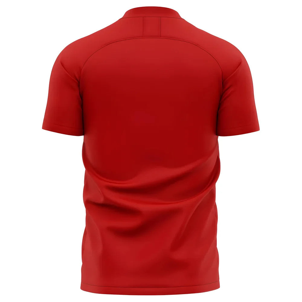 2025-2026 Southampton Home Concept Football Shirt_1