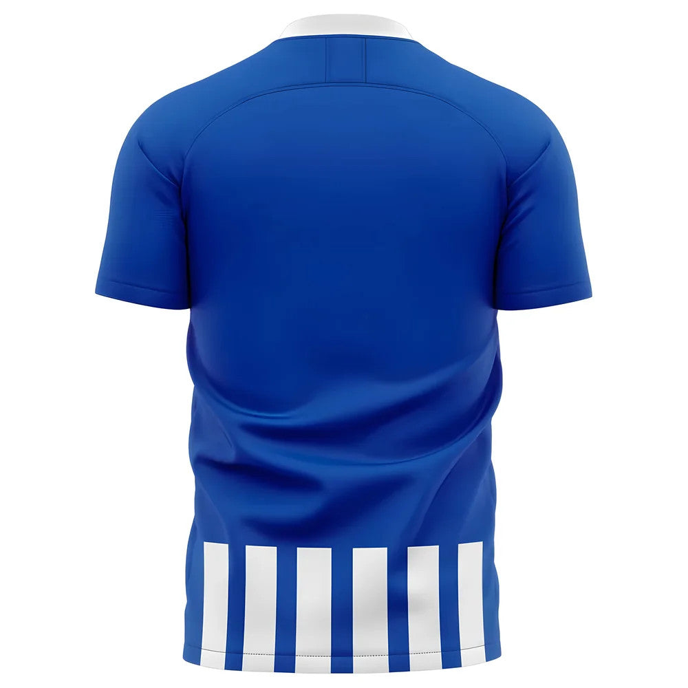 2025-2026 Heerenveen Home Concept Football Shirt_1