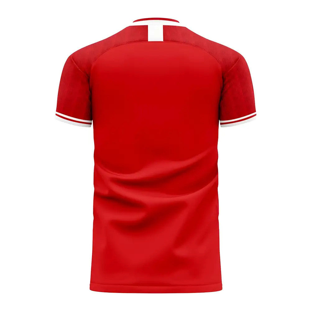 Al Ahly 2025-2026 Home Concept Football Kit (Libero)_1