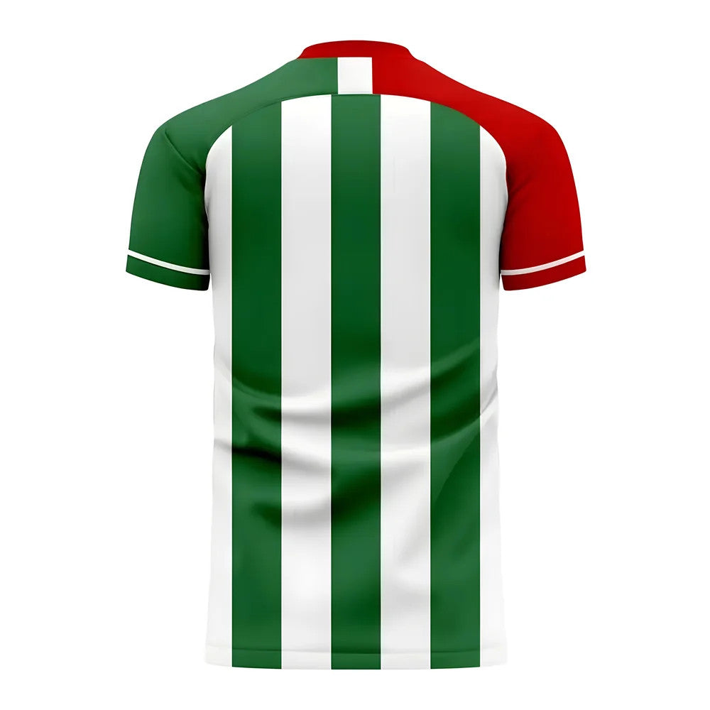Bursaspor 2025-2026 Home Concept Football Kit (Airo)_1