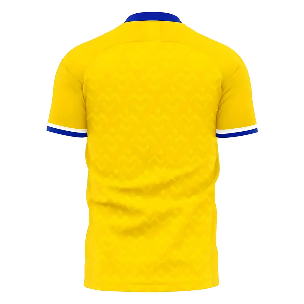 Everton de Chile 2025-2026 Third Concep Shirt (Libero)_1