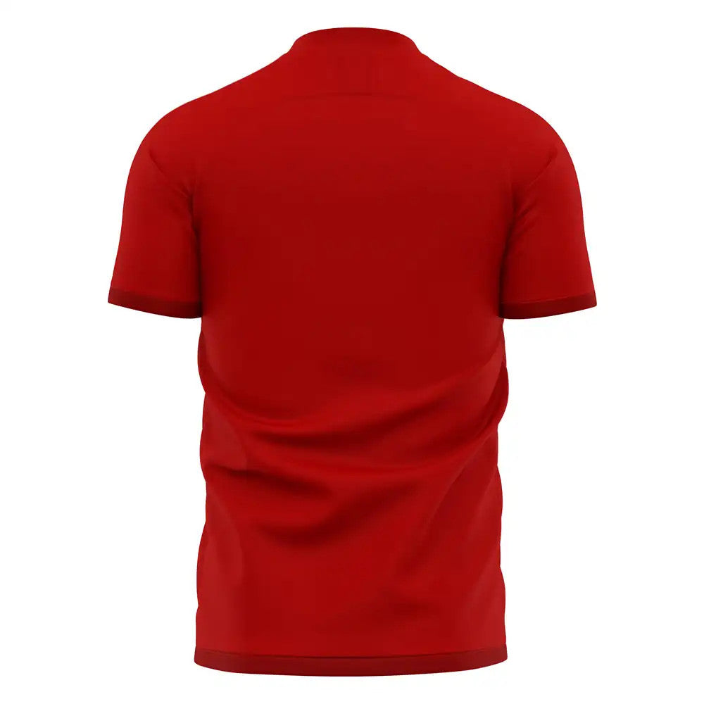 Nurnberg 2025-2026 Home Concept Football Kit (Libero)_1