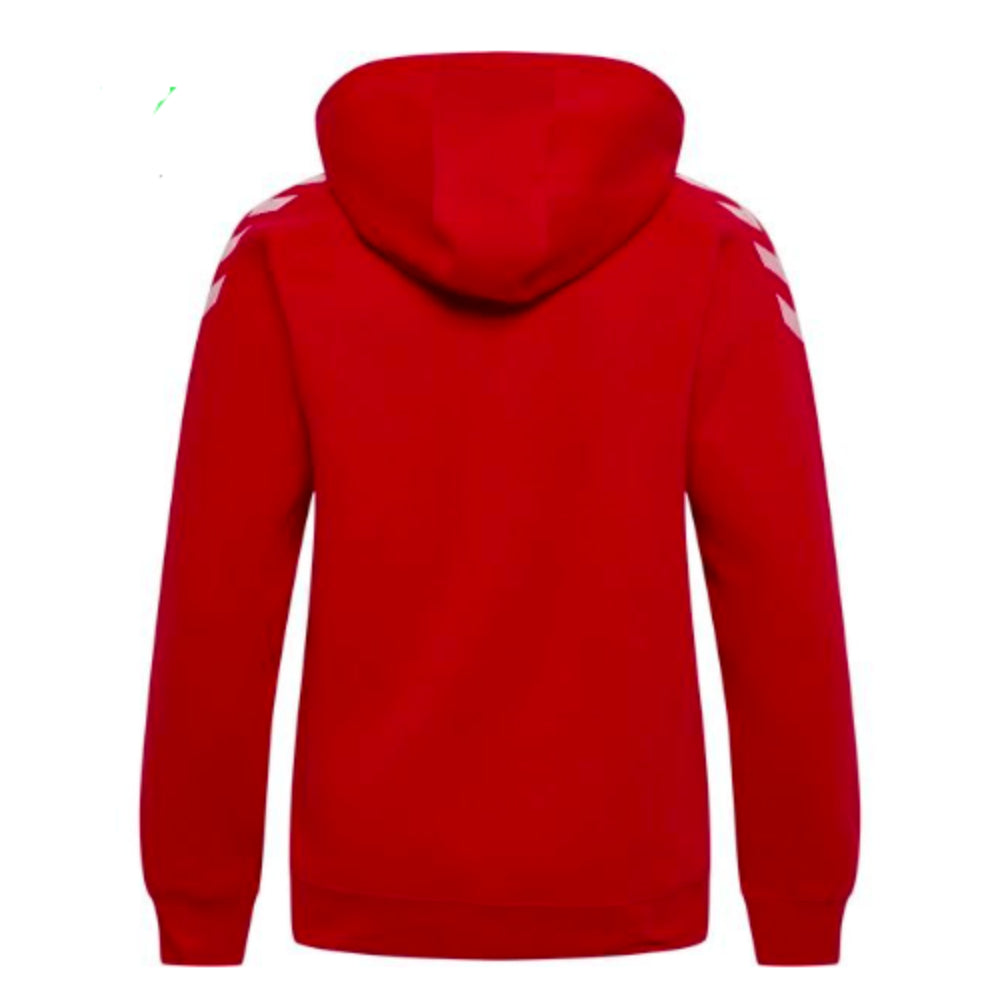 2022-2023 Denmark Fan Hoodie (Red)_1