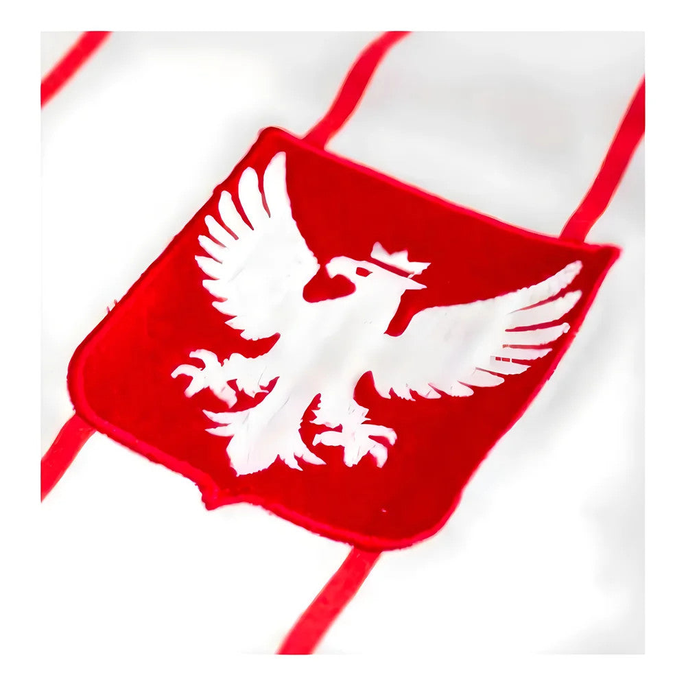Poland Orly Home Retro Football Shirt_1