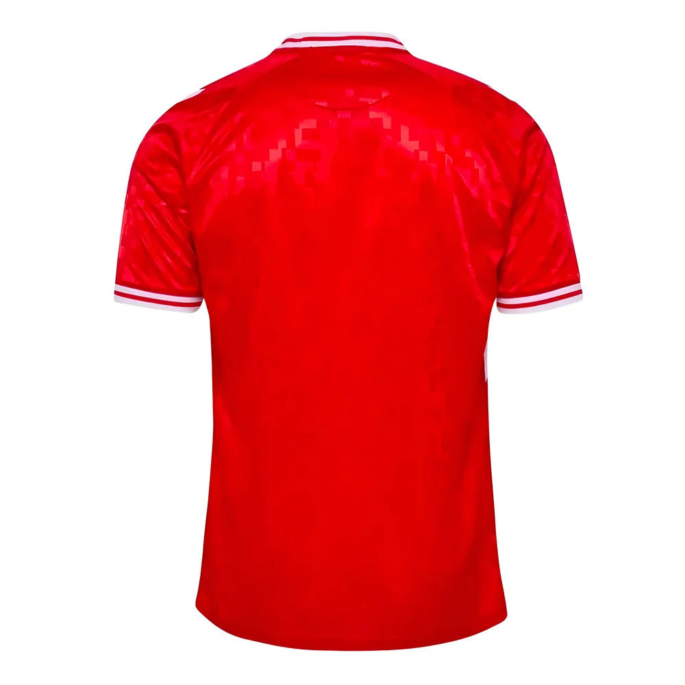 2024-2025 Denmark Home Shirt_1