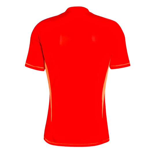 2024-2025 Juventus Home Goalkeeper Shirt (Red)_2