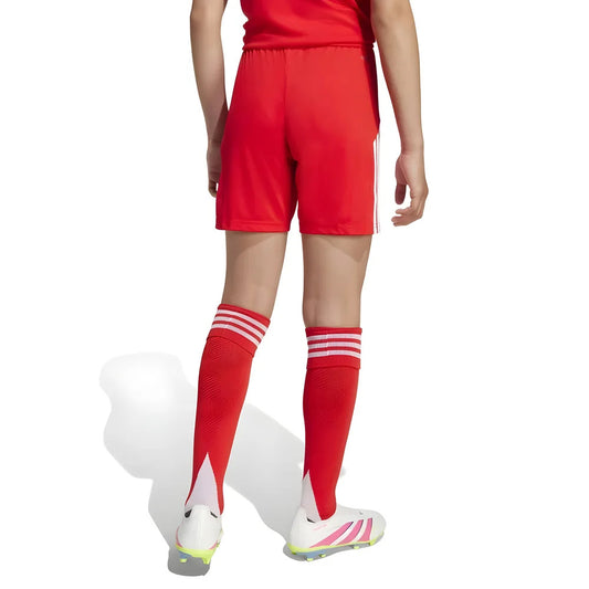 2025-2026 Bayern Munich Home Shorts (Red) - Kids_1