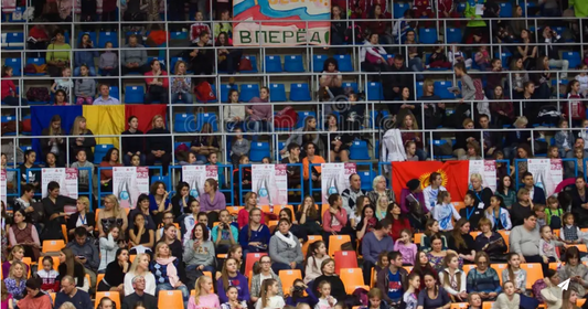 Gymnastics Competitions Explained: A Parent and Spectator Guide