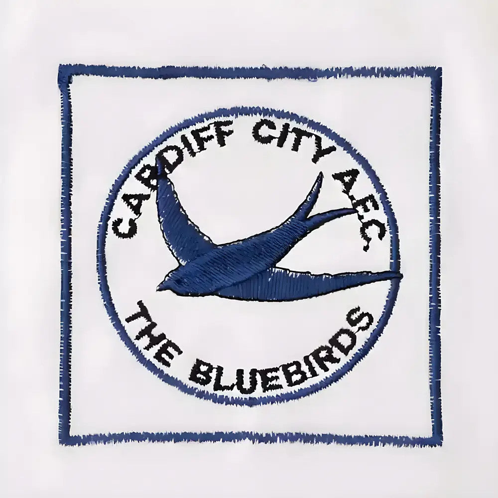 Cardiff City 1960s Away Retro Football Shirt_2