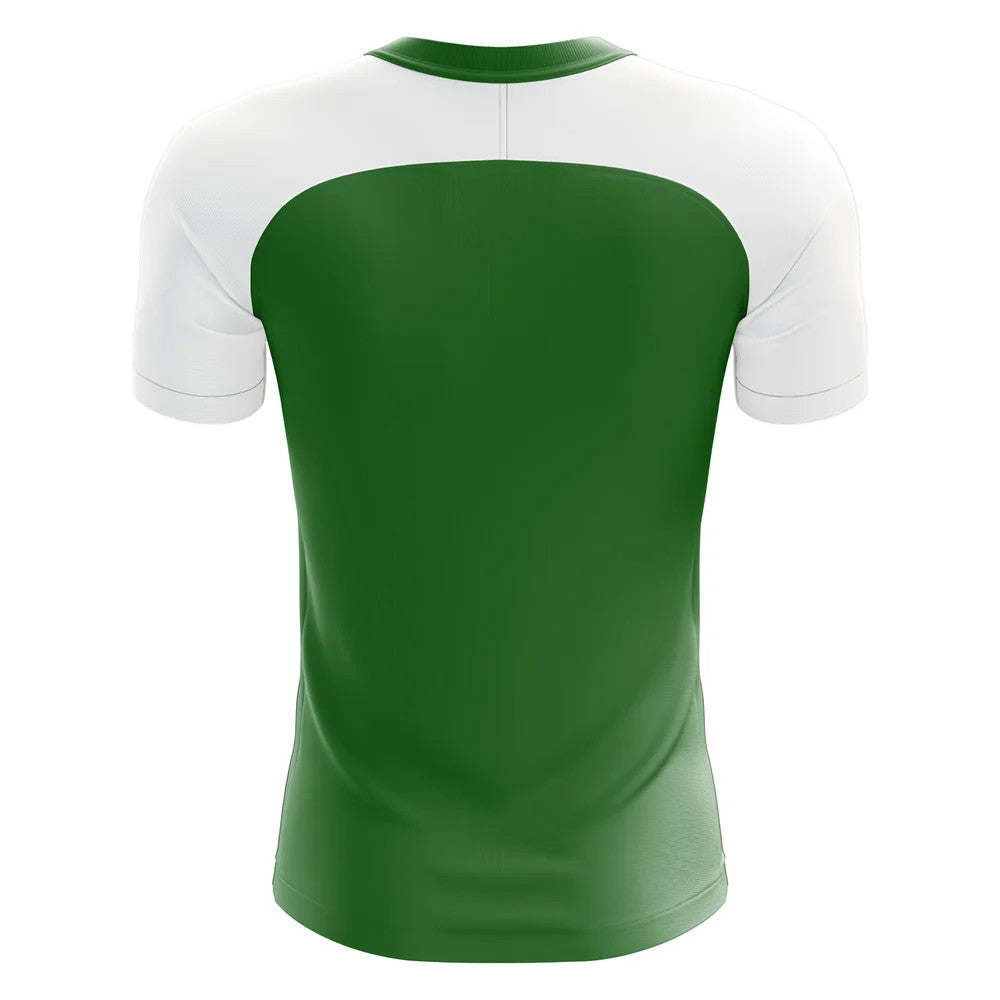 2025-2026 Nigeria Home Concept Football Shirt_1