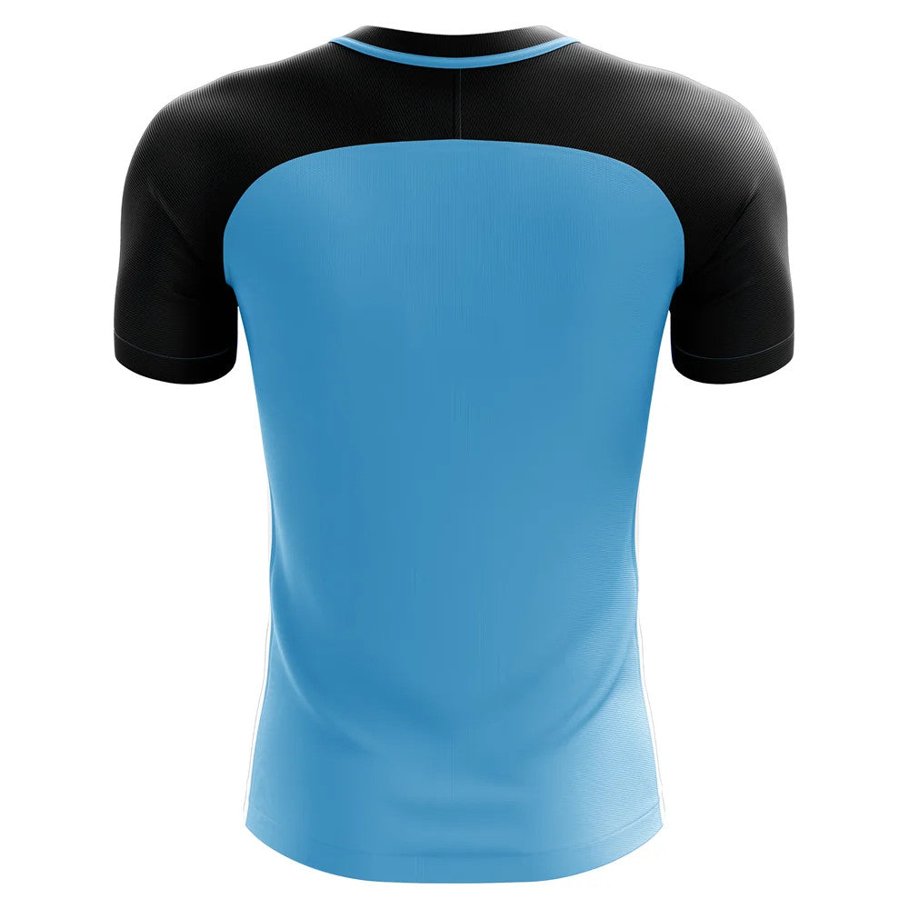 2025-2026 Botswana Home Concept Football Shirt - Adult Long Sleeve_1