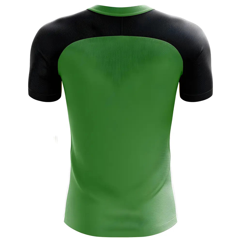 2025-2026 Tanzania Home Concept Football Shirt_1