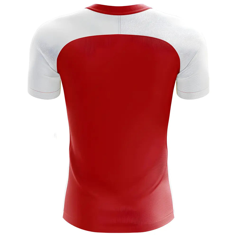 2025-2026 Tunisia Flag Concept Football Shirt_1