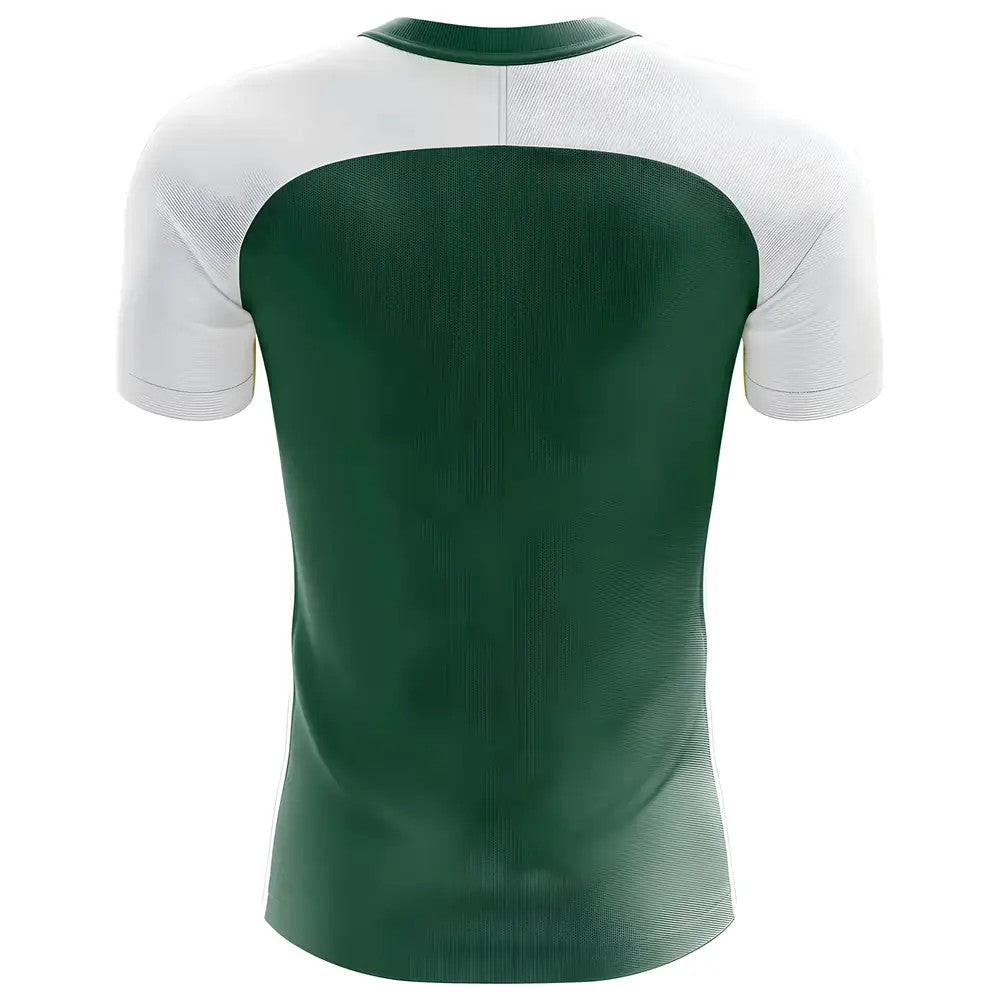 2025-2026 Turkmenistan Home Concept Football Shirt - Adult Long Sleeve_1