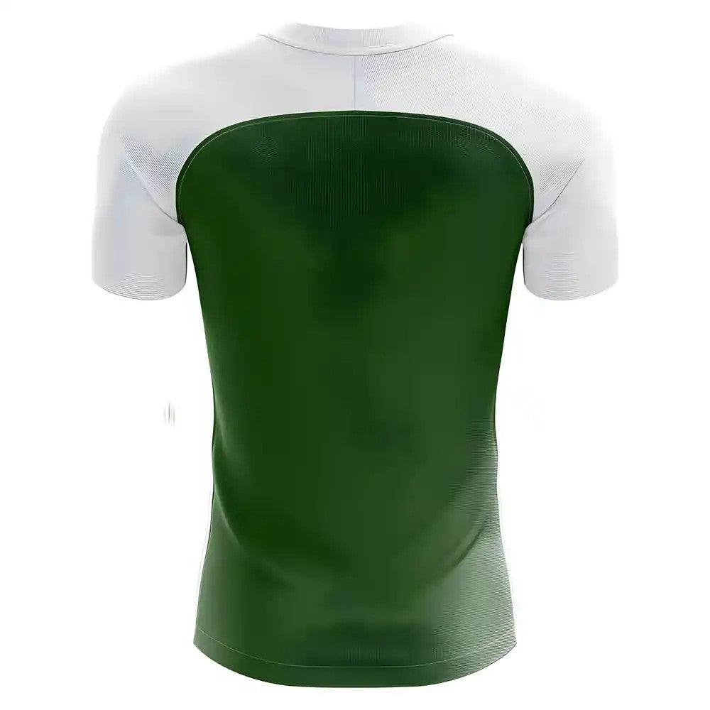 2025-2026 Pakistan Home Concept Football Shirt - Adult Long Sleeve_1