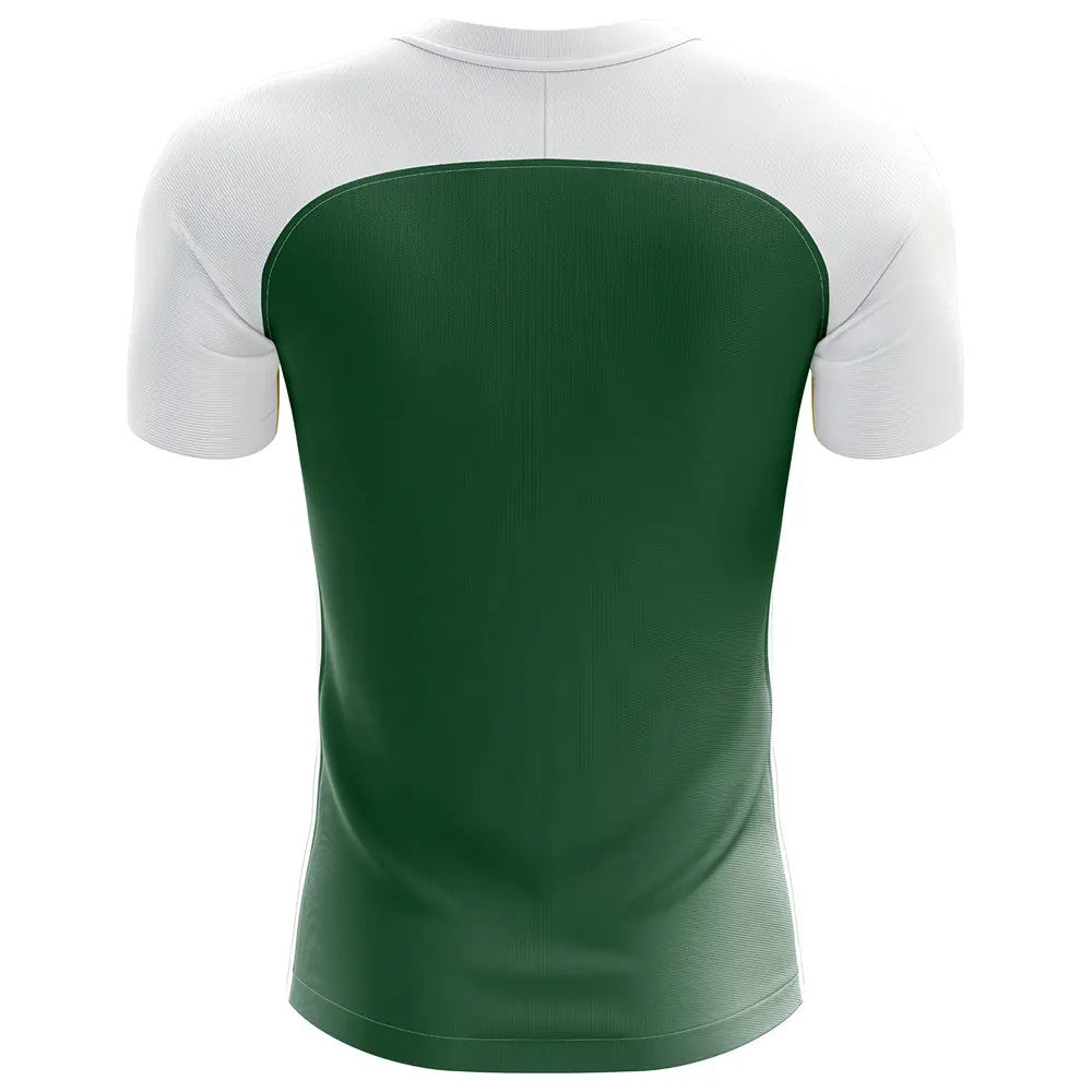 2025-2026 Mexico Flag Concept Football Shirt (Kids)_1