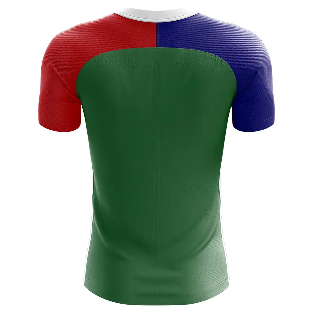 2025-2026 South Africa Home Concept Football Shirt - Little Boys_1
