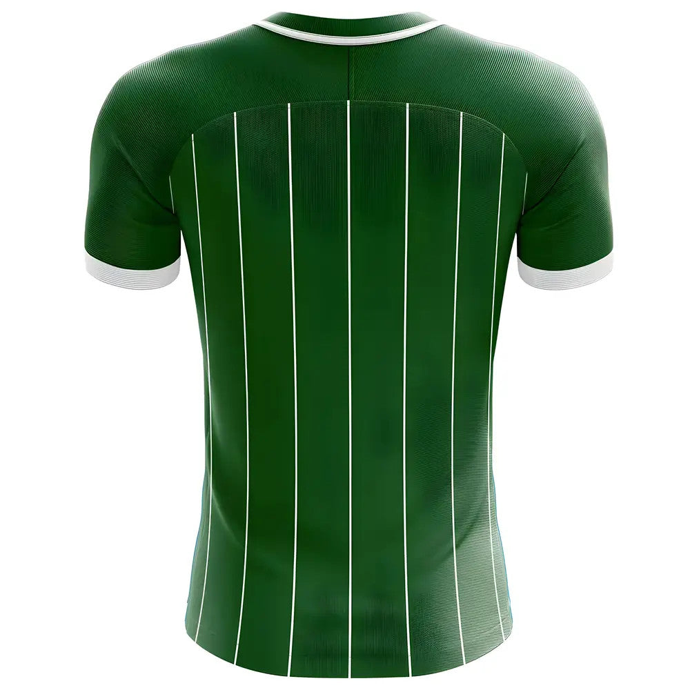 2025-2026 Northern Ireland Home Concept Football Shirt_1