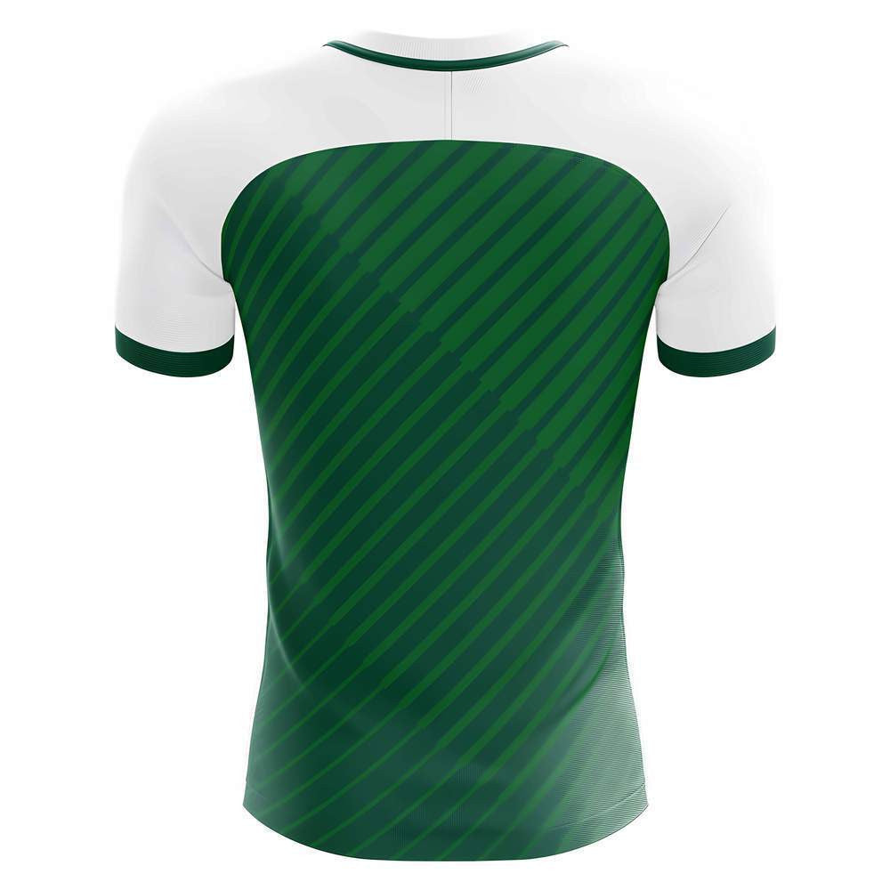 2025-2026 Banfield Home Concept Football Shirt_1