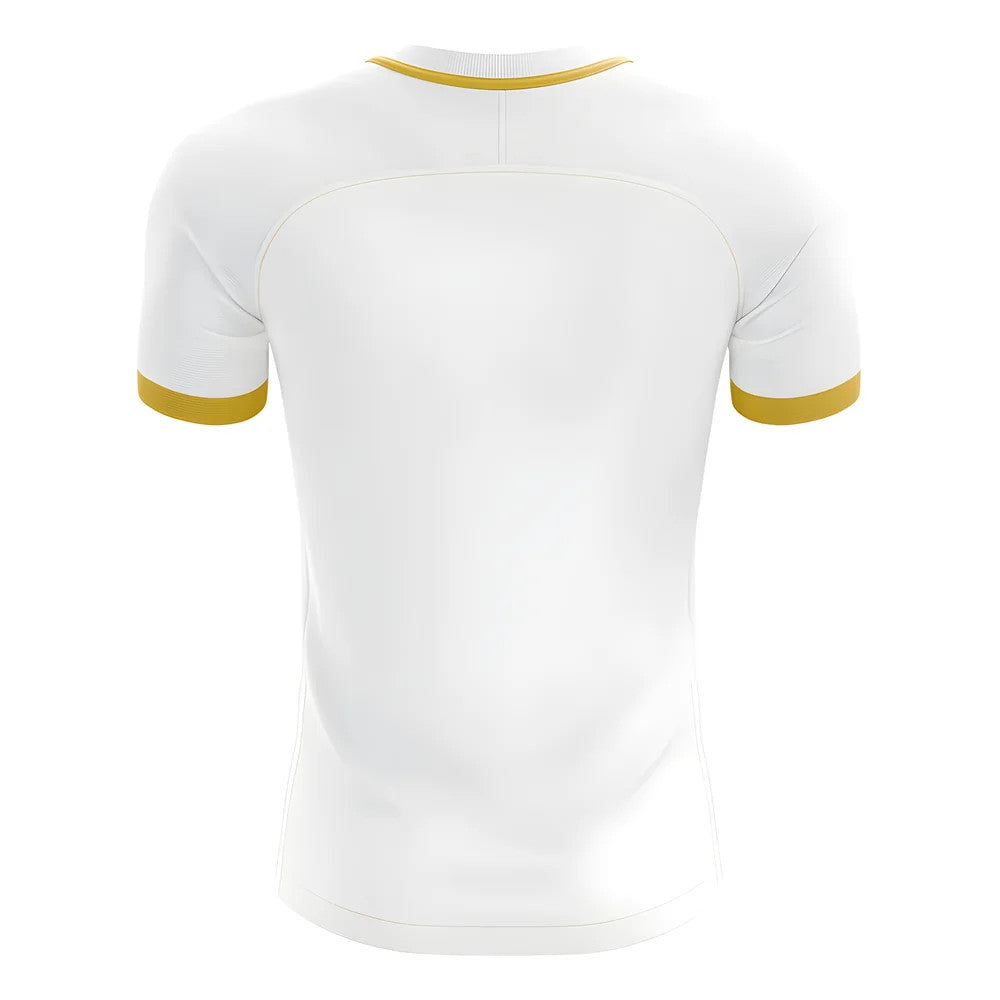 2025-2026 Ghana Away Concept Football Shirt_1