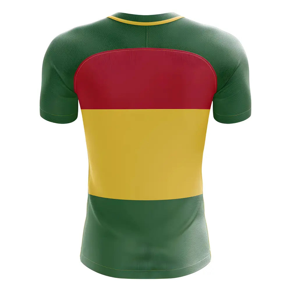 2025-2026 Ghana Flag Concept Football Shirt_1