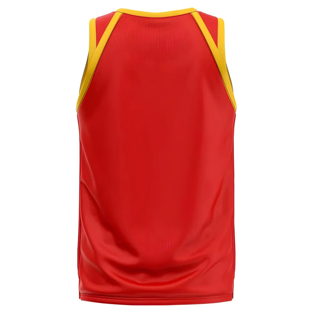 Spain Home Concept Basketball Shirt_1