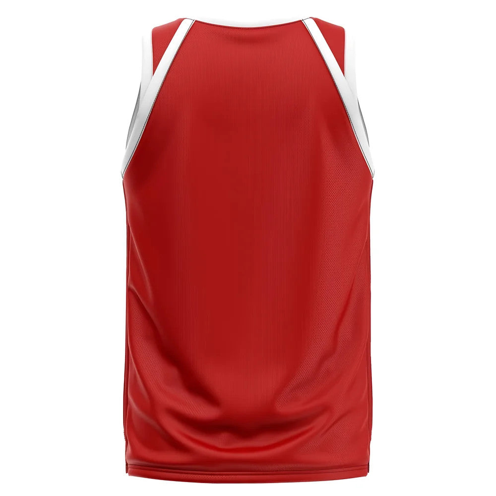 Wales Home Concept Basketball Shirt_1