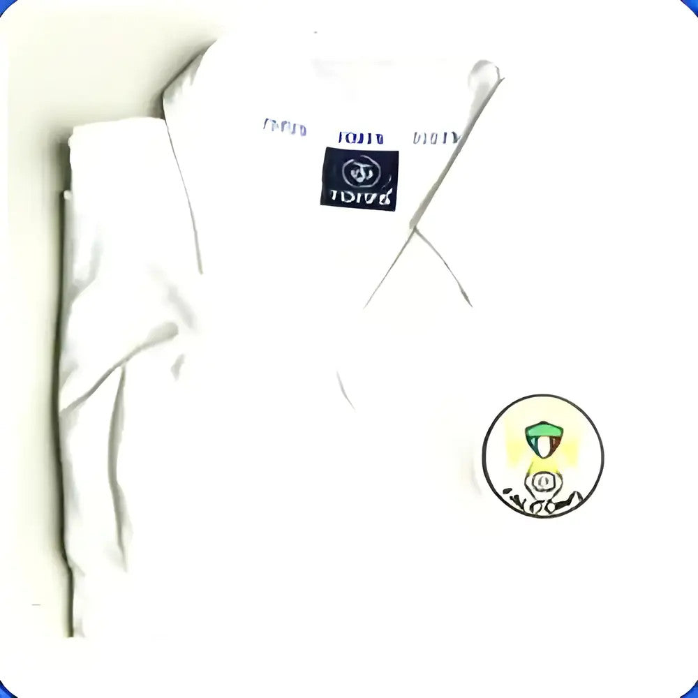 Toronto Falcons 1970s Shirt_1