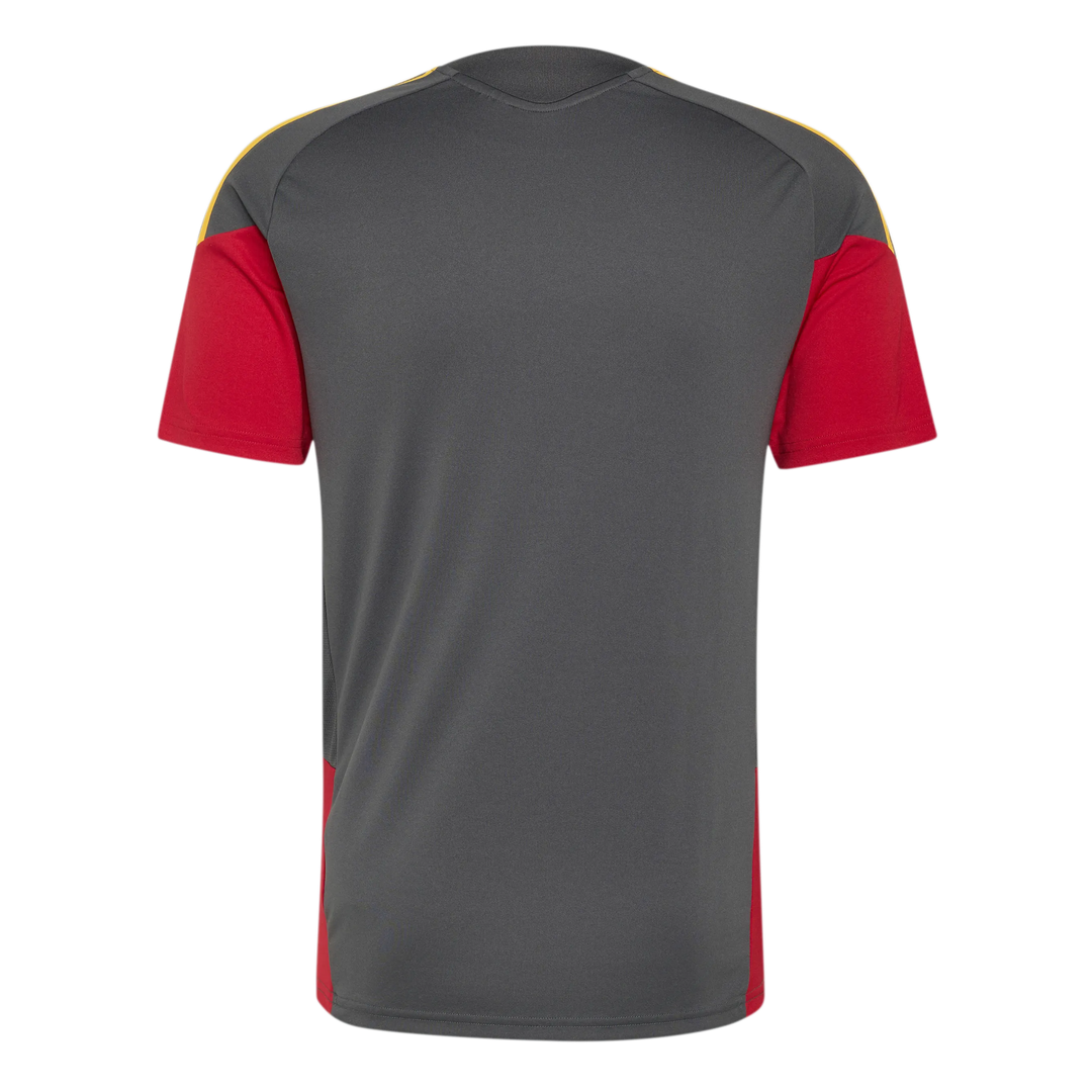 2026-2027 AS Roma Training Shirt (Grey)_1