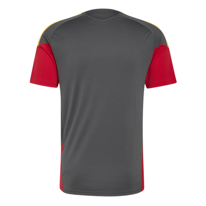 2026-2027 AS Roma Training Shirt (Grey)_2