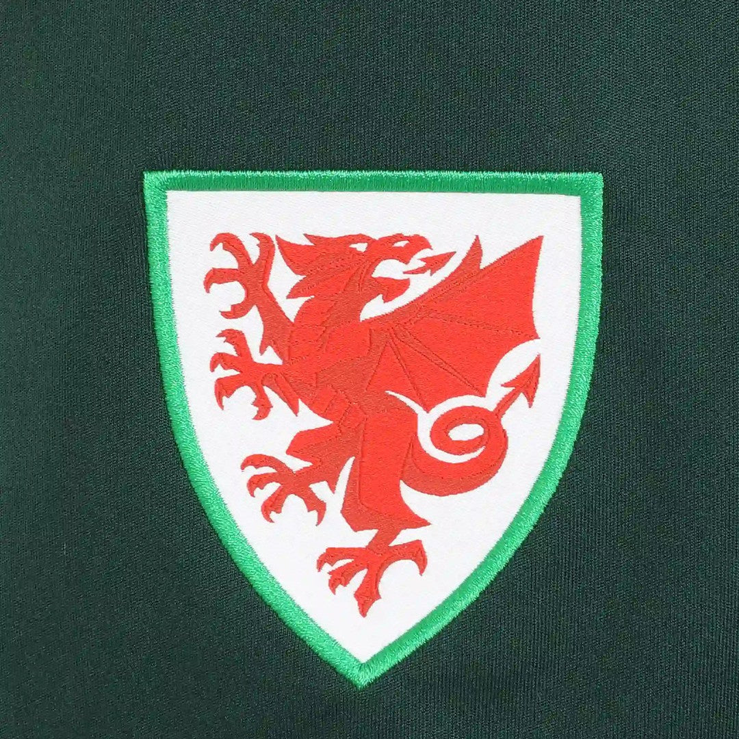 2026-2027 Wales Sudu Away Shorts (Green) - Kids_3