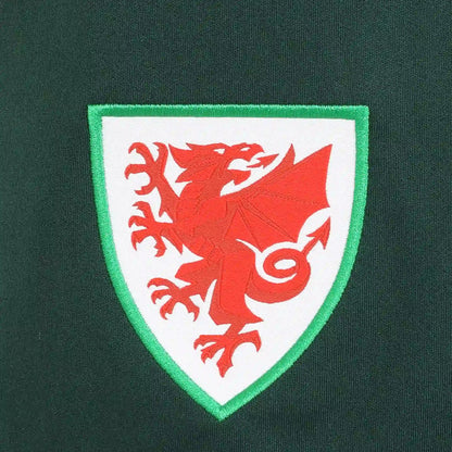 2026-2027 Wales Sudu Away Shorts (Green) - Kids_3