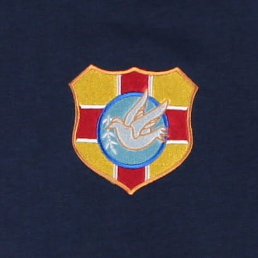 Tonga 1923 Vintage Rugby Heritage Hoody (Navy)_4