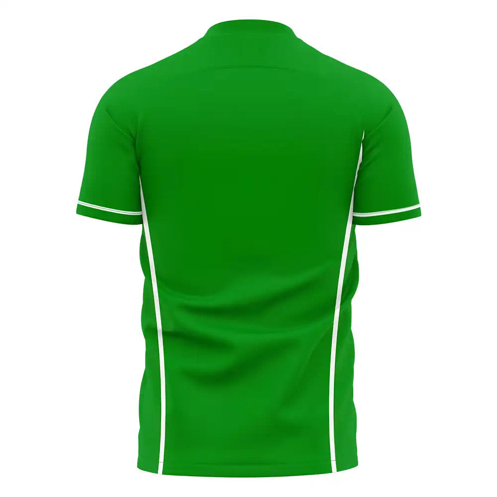  Chapecoense 2025-2026 Home Concept Football Kit (Libero)_1