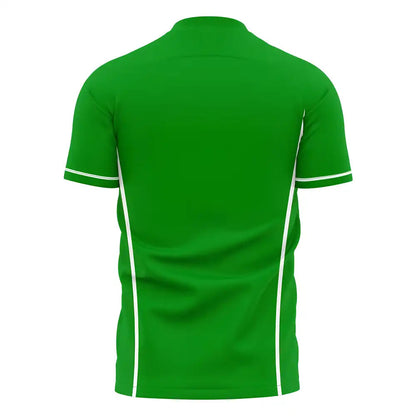  Chapecoense 2025-2026 Home Concept Football Kit (Libero)_1