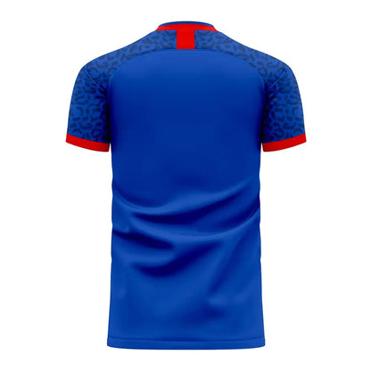 Republic of Congo 2025-2026 Home Concept Shirt (Libero)_1