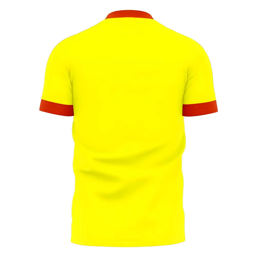 Le Mans 2025-2026 Home Concept Football Kit (Libero)_1