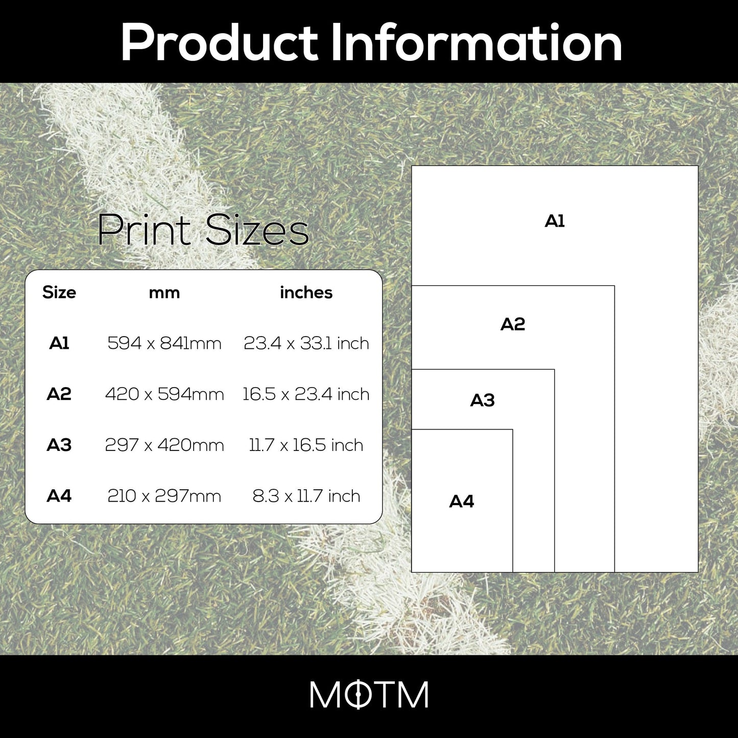 Cristiano Ronaldo Legend Stats Print