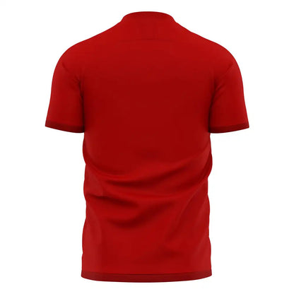 Nurnberg 2025-2026 Home Concept Football Kit (Libero)_1