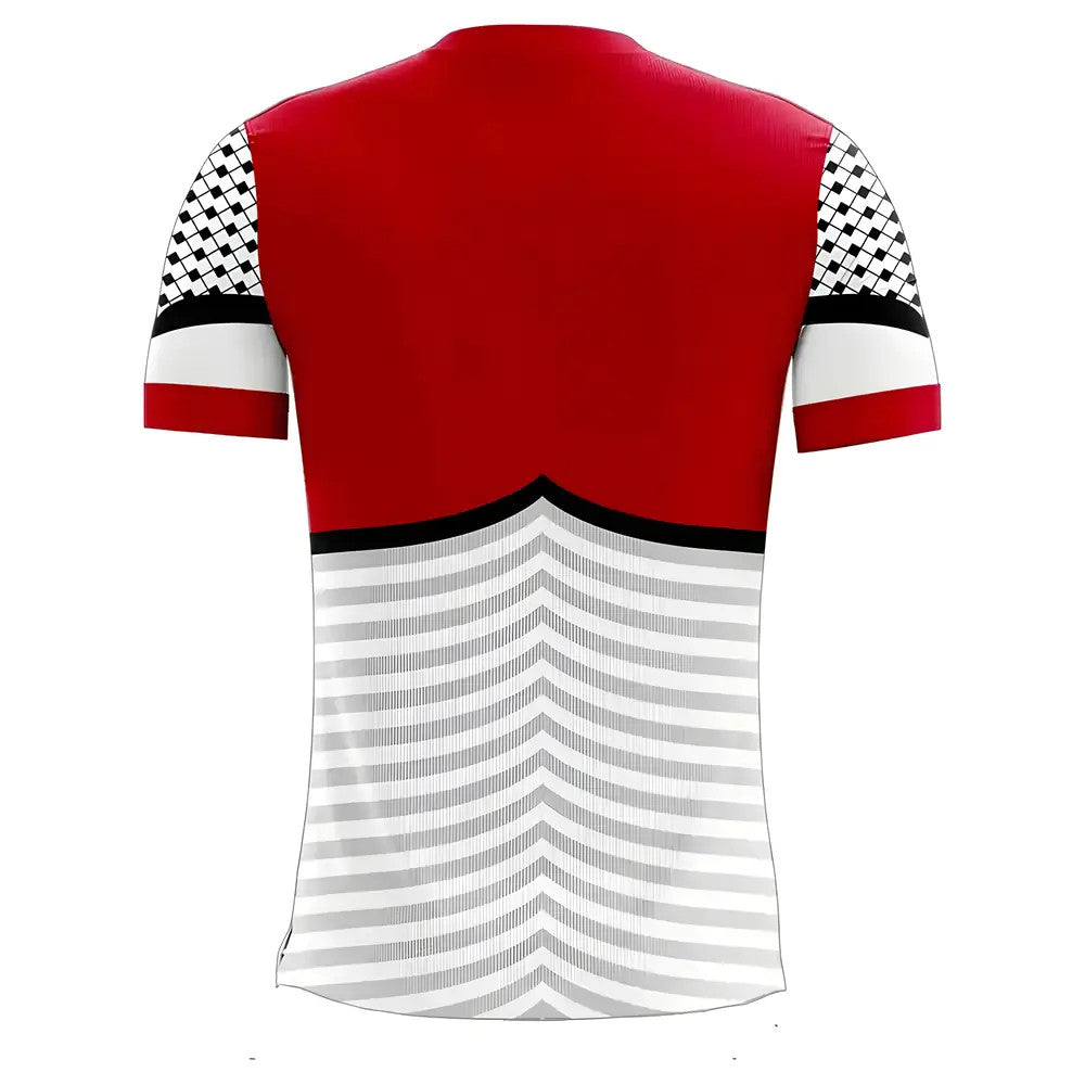 Palestine 2025-2026 Home Concept Football Kit (Libero) - Adult Long Sleeve_1