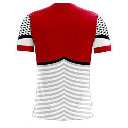 Palestine 2025-2026 Home Concept Football Kit (Libero) - Adult Long Sleeve_1