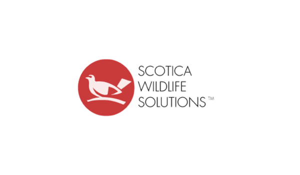 SCOTICA WILDLIFE SOLUTIONS